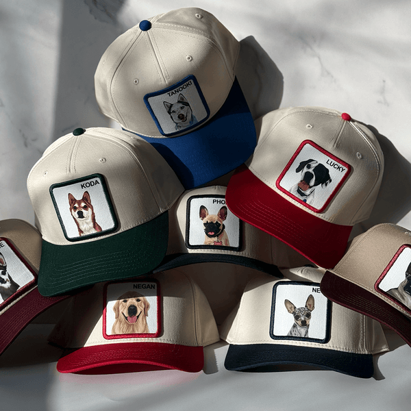 The Original Personalized Pet Hat