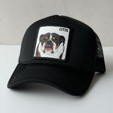 The Original Personalized Pet Hat