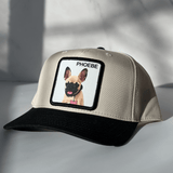 The Original Personalized Pet Hat