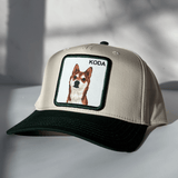 The Original Personalized Pet Hat